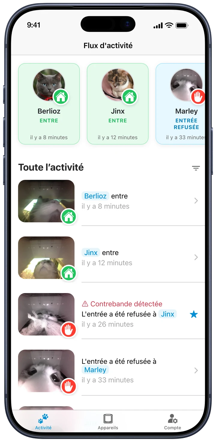 Le fil d’activité OnlyCat avec les arrivées des chats et les vidéos du seuil