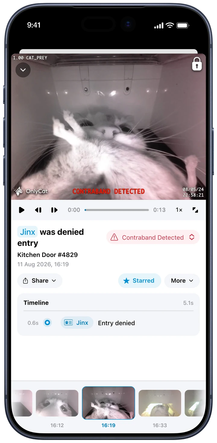See what happened. Open an event to watch the video, look more closely and share a clip. From an ordinary arrival to the delivery that stayed outside.