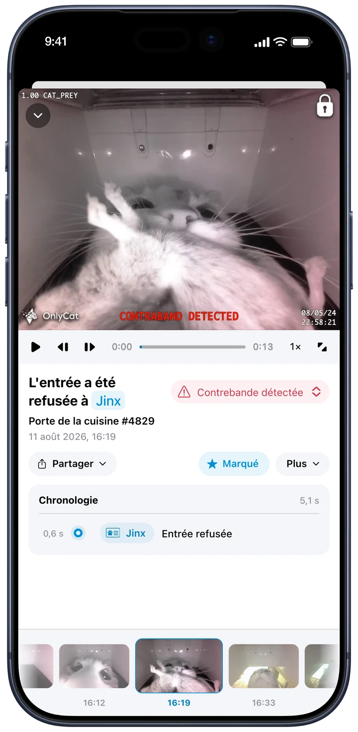 Voir ce qui s’est passé. Ouvrez un événement pour regarder la vidéo, observer de plus près et partager un extrait. De l’arrivée ordinaire à la livraison restée dehors.