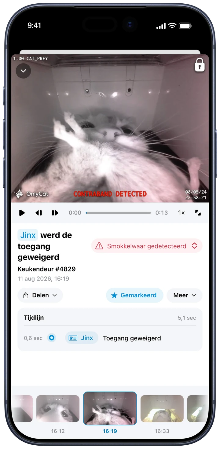 Zien wat er gebeurde. Open een gebeurtenis om de video te bekijken, van dichtbij te kijken en een fragment te delen. Van een gewone thuiskomst tot de bezorging die buiten bleef.