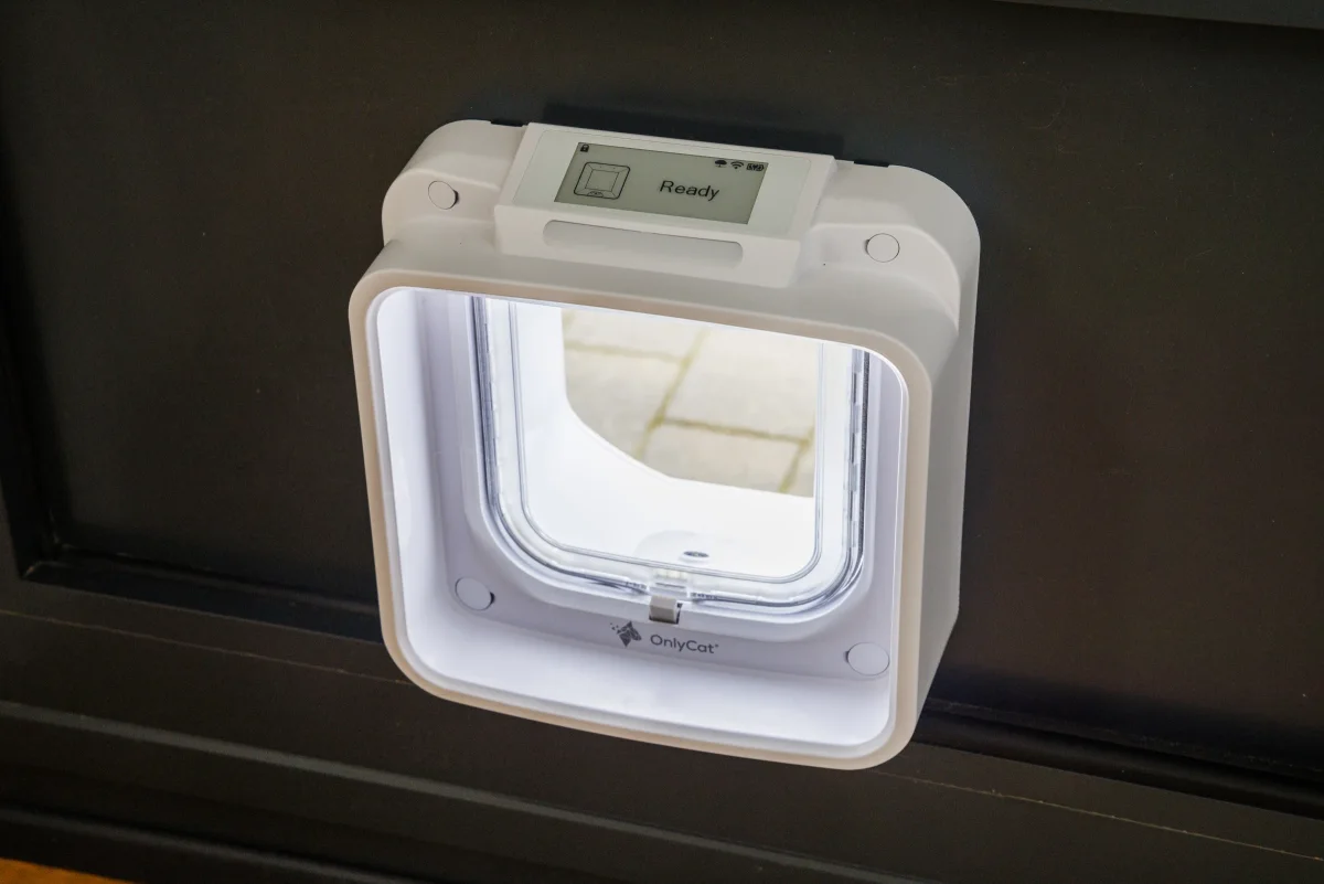 A white OnlyCat fitted in a dark door, with its display and clear flap visible