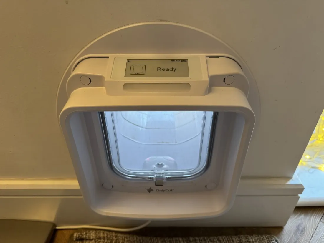 A customer’s OnlyCat fitted through a wall, its tunnel visible through the flap