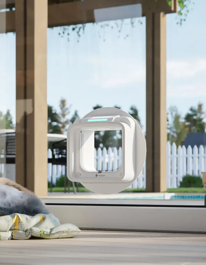 Window 1